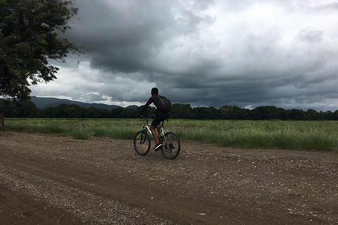 Cycling through the TPC plantations - Moshi to TPC: what you’re really signing up for