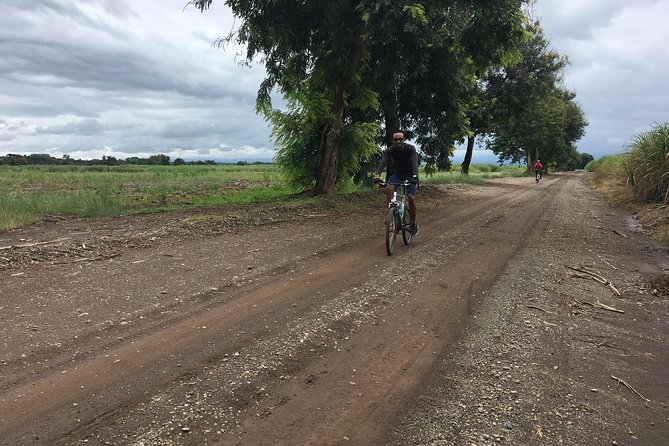 Cycling through the TPC plantations - Cycling the sugar cane fields: Kilimanjaro views and village roads