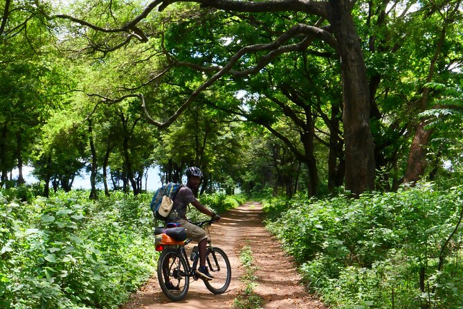 Cycling through the TPC plantations - Guides can make or break the experience, and here they shine