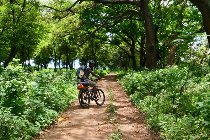 Cycling through the TPC plantations - What’s included, what’s not, and what to bring