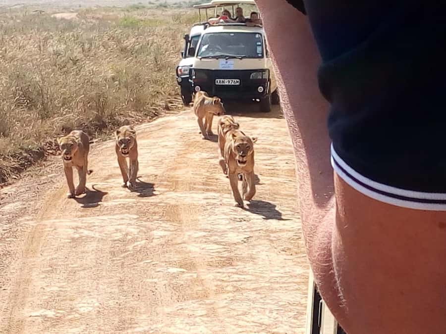 Dar el Salam: Full-Day Mikumi National Park Tour - Price and value: what $430 per person really covers