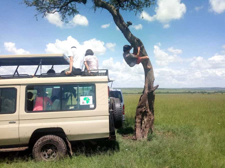 Dar el Salam: Full-Day Mikumi National Park Tour - Who should book this Mikumi day tour, and who should skip it
