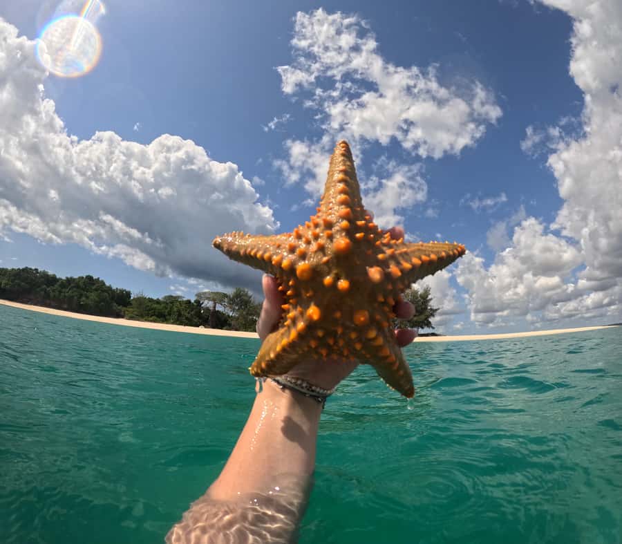 DAR ES SALAAM:BONGOYO ISLAND SNORKELING TOUR & BEACH ESCAPE - 6 Hours on Bongoyo Island: Snorkeling, Forest Walks, and Beach Time