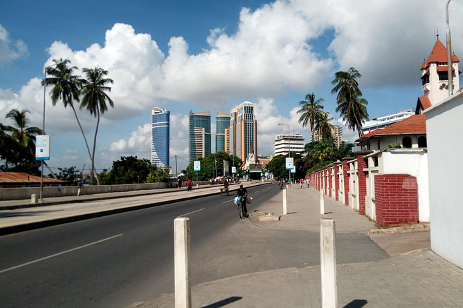 Dar es Salaam City tour and Beach Leisure - 9 hours - Key points at a glance