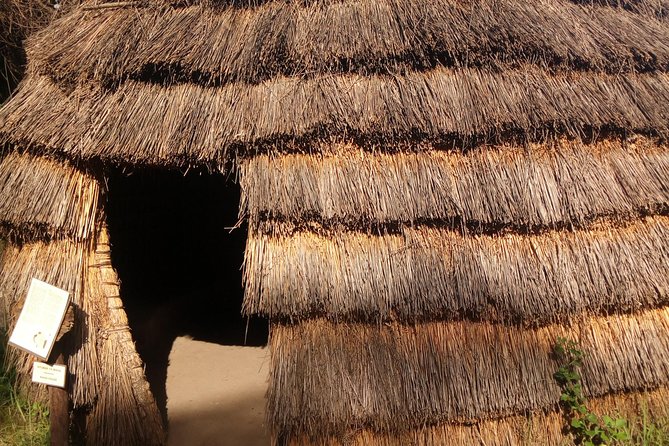 Dar es Salaam City tour and Beach Leisure - 9 hours - Village Museum, Mwenge Curio Shops, and the kitenge moment