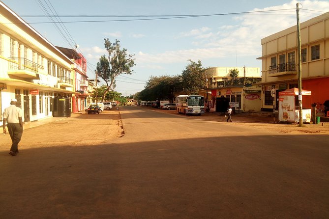 Dar es Salaam City Walking tour - Explore the Life of the Local People! - Why this half-day walking and bus route works