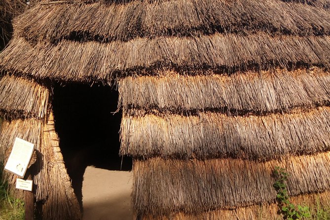 Dar es Salaam City Walking tour - Explore the Life of the Local People! - Mwenge Curio Shops: a practical shopping wrap-up