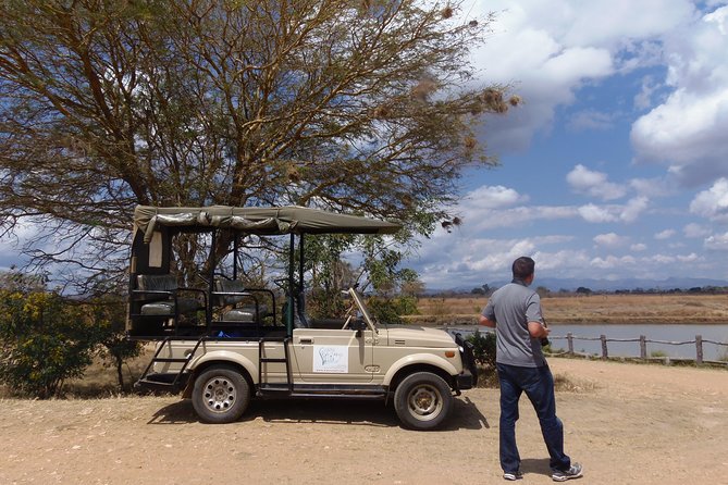 Dar Es Salaam: Day Trip Safari to Mikumi National Park by Train - The ride back: ending around 4pm and getting you home