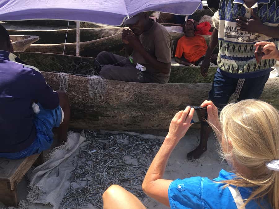 Dar es Salaam: Experience the real Dar es Salaam (City Tour) - Key highlights to know before you go