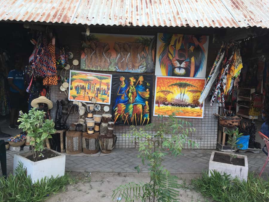 Dar es Salaam: Experience the real Dar es Salaam (City Tour) - Pickup points and what a private tour changes