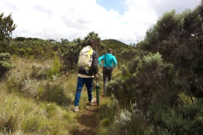 Day Hike to Mount Kilimanjaro, Local experience and Chagga Culture - Key Things to Know Before You Go