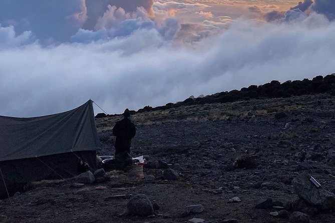 Day Hike to Mount Kilimanjaro (Mandara Hut) - Trekking up to Mandara Hut: the views you came for