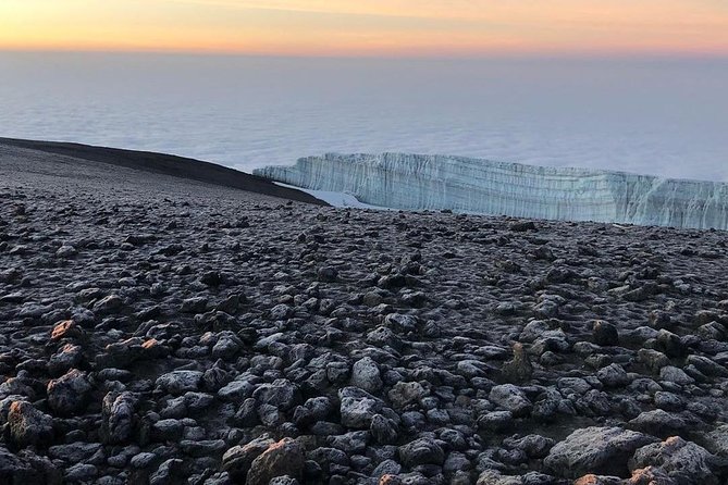 Day Hike to Mount Kilimanjaro (Mandara Hut) - The Mandara Hut moment, plus a calmer return downhill
