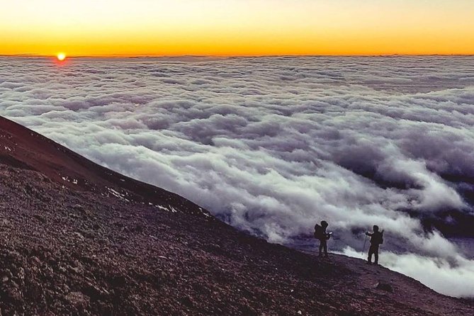 Day Hike to Mount Kilimanjaro (Mandara Hut) - Price and value: what $342.70 buys you