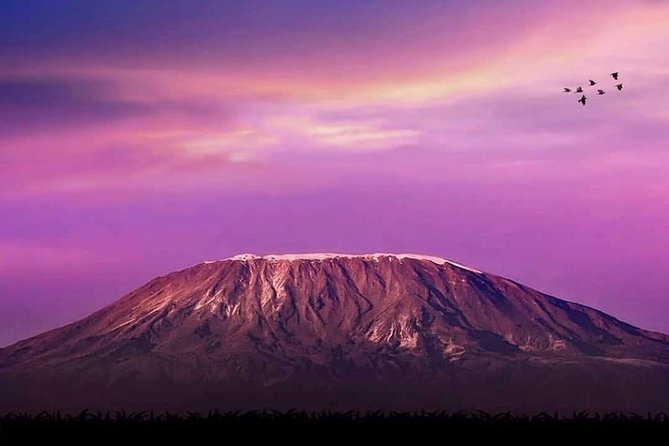 Day Hike to Mount Kilimanjaro (Mandara Hut) - Marangu Gate, signing in, and getting your bearings fast