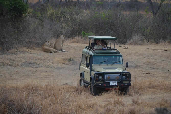 Day Safari Tour Selous Game Reserve - Key things I’d watch before you go