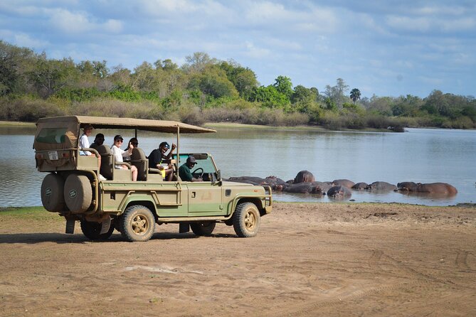 Day Safari Tour Selous Game Reserve - A One-Day Jump From Zanzibar to Nyerere National Park