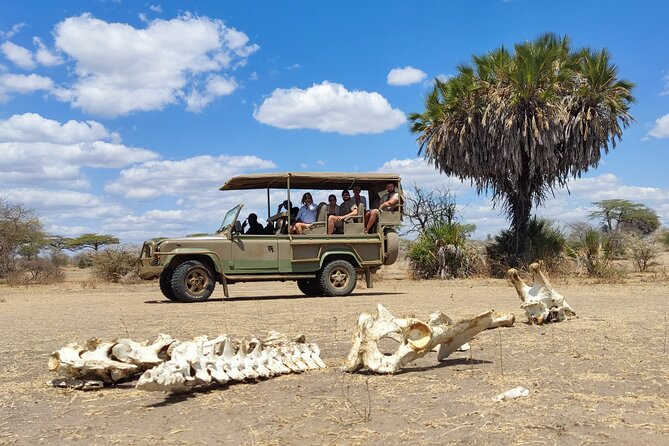Day Safari Tour Selous Game Reserve - Water Bodies and Picnic Lunch Views You Will Remember
