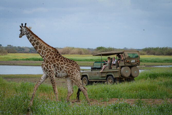 Day Safari Tour Selous Game Reserve - The Route: Jahazi Cafe to Airstrip, Then Straight Into the Bush