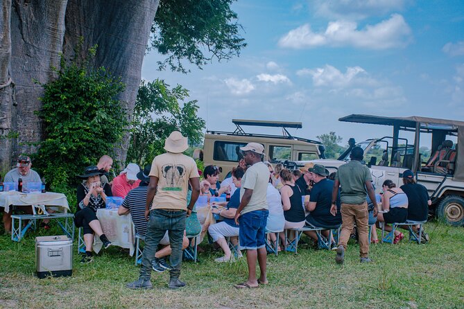 Day Safari Tour to Mikumi National Park - Price and Value: Is $480 Worth It?