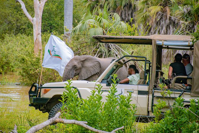 Day Safari Tour to Mikumi National Park - Should You Book Mikumi From Zanzibar?