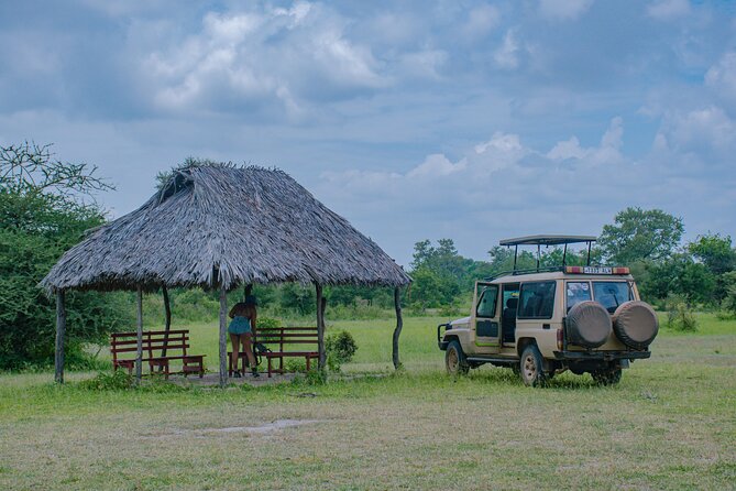 Day Safari tour to Selous Game Reserve from Zanzibar - Lunch, Coffee, and the Small Comforts That Keep You Focused
