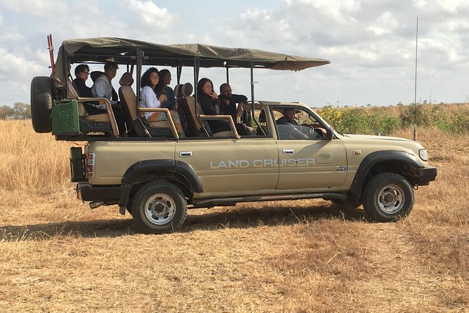 Day Trip From Zanzibar To Mikumi - The 6:00 am Launch and the 10-hour Safari Rhythm