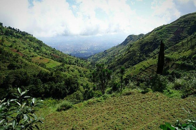 Day trip Hiking to Uluguru Mountains-Choma Waterfalls - Key highlights at a glance