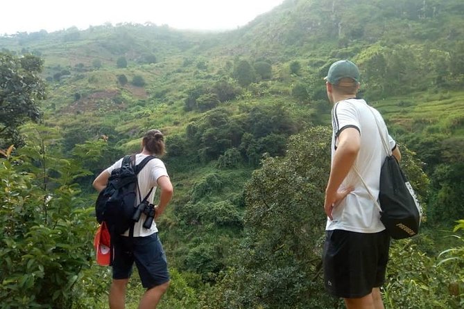 Day trip Hiking to Uluguru Mountains-Choma Waterfalls - Price and value: what $60 buys you in the Morogoro mountains