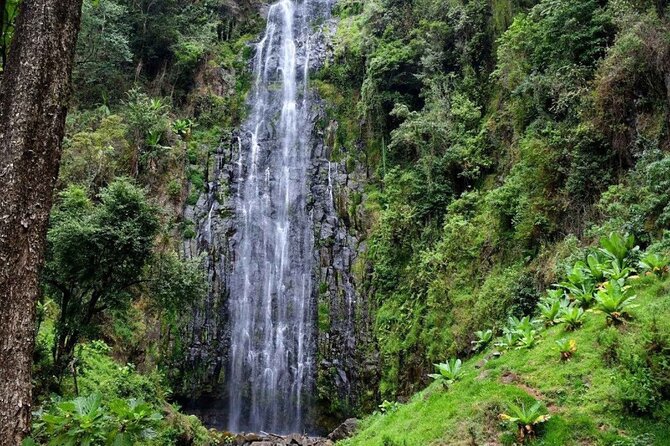 Day trip Materuni watsrfalls and chemka hotsprings tour - Key points to know before you go