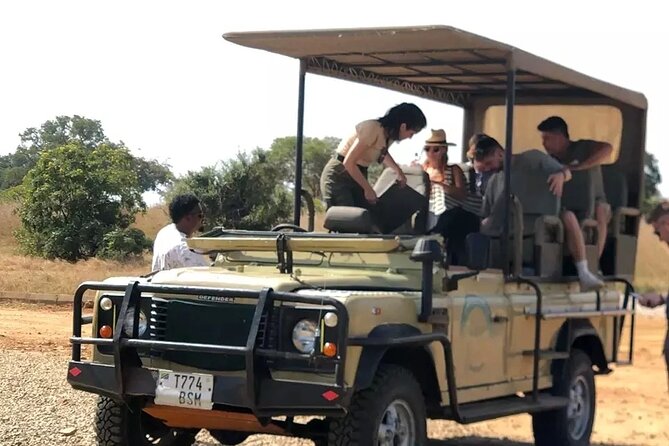 Day trip Safari to Mikumi National Park - Lunch in the Bush, Where the Long Day Stays Manageable