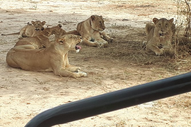 day trip tarangire - Price and time: what $270 really gets you
