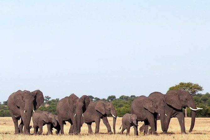 day trip tarangire - Comfort and small realities you should plan for