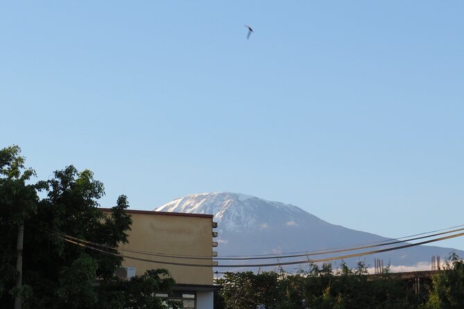 Day Trip to Kilimanjaro National Park - Key highlights