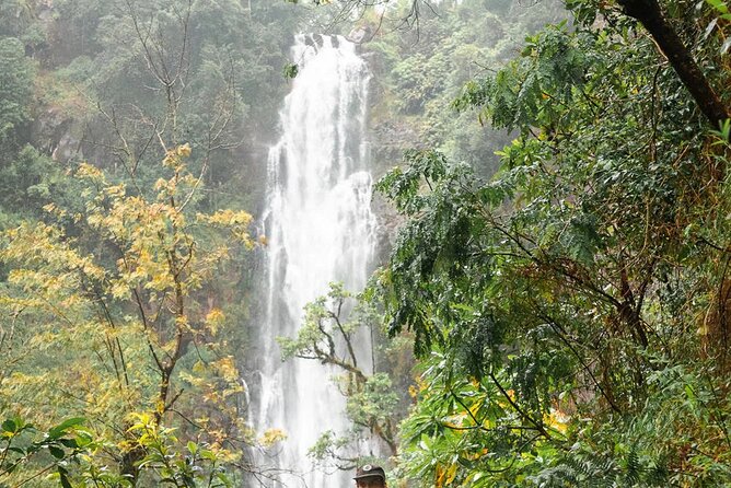 Day trip to Materuni waterfall, Coffee tour and Moshi Nightlife - Value check: $70 for a 17-hour loop with meals and transfers