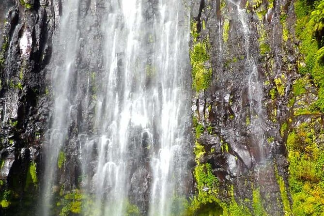 Day trip to Materuni waterfall, Coffee tour and Moshi Nightlife - Morning transfer to Materuni, and why the early start helps