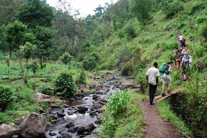 Day Trip To Materuni Waterfalls - Key highlights you should not miss