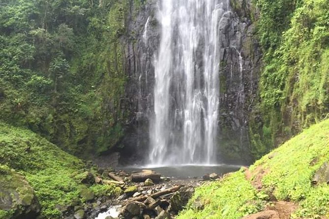 Day trip to materuni waterfalls and coffee tour - Materuni village walk: plant knowledge and fruit tasting
