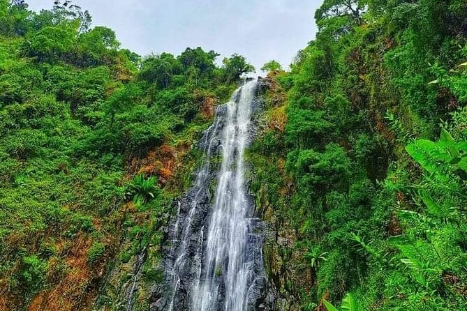 Day trip to materuni waterfalls and coffee tour - Waterfall time at Materuni: swimming, cooling off, and finding the spot