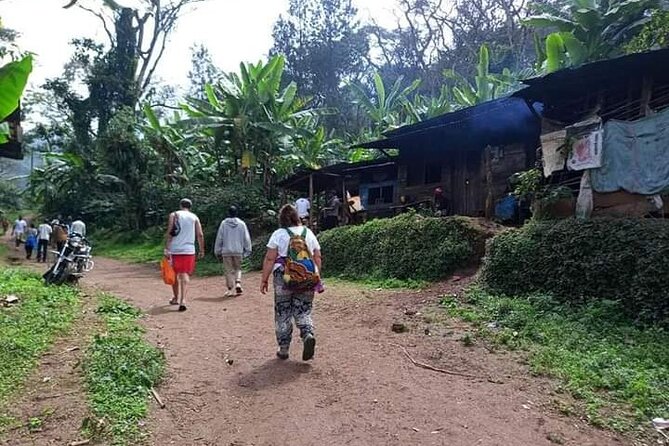 Day trip to materuni waterfalls and coffee tour - Coffee tour in Materuni: how the process ends with Chagga songs