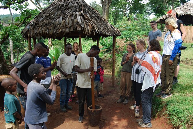 Day Trip To Materuni Waterfalls - Along the slopes: plantations, primates, and flowers
