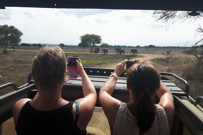 Day trip to Mikumi National Park from Dar es salaam - Key things that make this day trip click