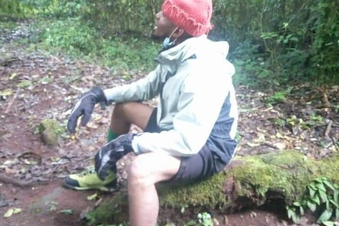 Day trip to mount Kilimanjaro - Going at your own pace with a private day trip