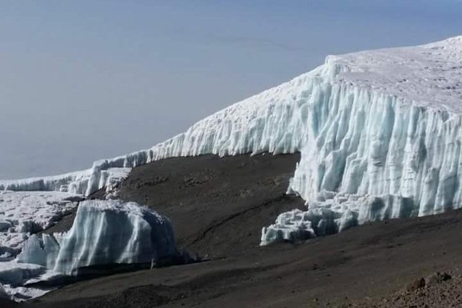 Day trip to mount Kilimanjaro - Lowland wildlife: what to look for on the trail