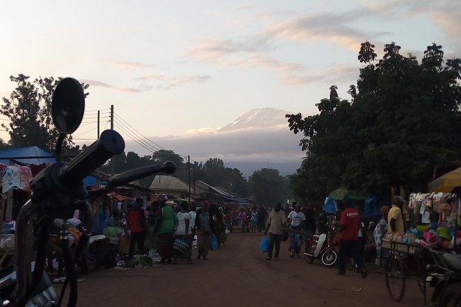 Day trip to mount Kilimanjaro - From Moshi into Kilimanjaro’s base forest