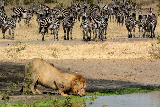 Day Trip to Ngorongoro Crater - Who this day trip is best for