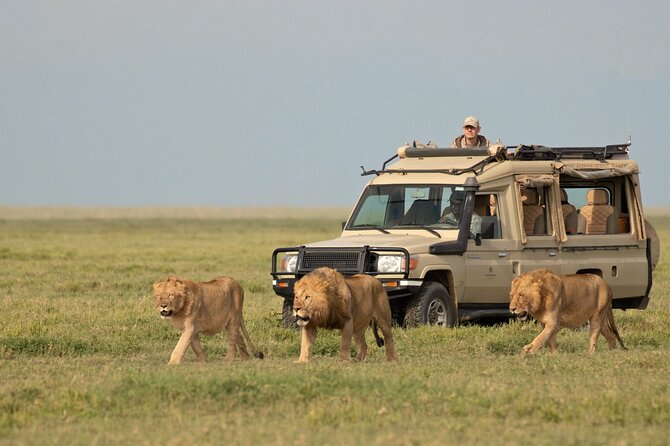 Day Trip to Selous (Nyerere) National Park Flying from Zanzibar - Should You Book This Selous Flying Day Safari from Zanzibar?