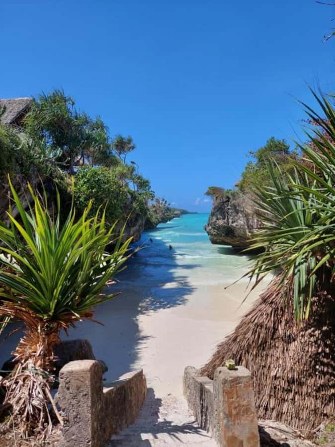 Day trip to the Rock Restaurant & relax on mtende beach - The Zanzibar archipelago stop: photos, walking, and another swim break