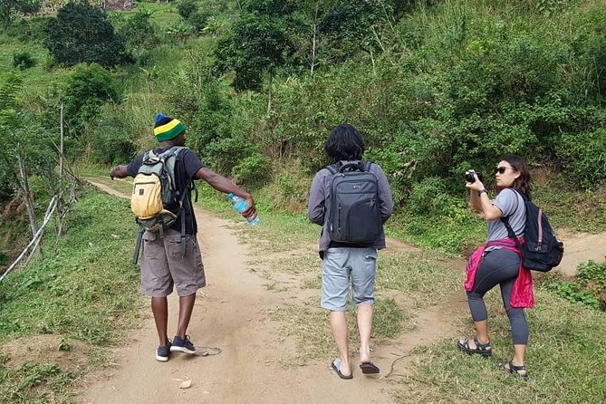 Day trip tour to Choma Waterfalls - The Uluguru Mountains hike: pace, views, and real effort