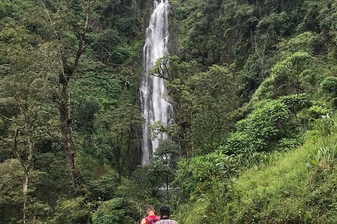 DayTour to Materuni Waterfalls with Coffee & Hotsprings Excursion - Key highlights before you go